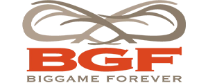 BGF